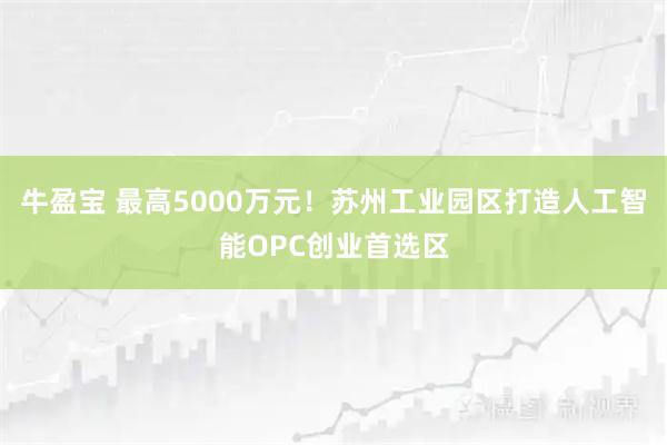 牛盈宝 最高5000万元！苏州工业园区打造人工智能OPC创业首选区