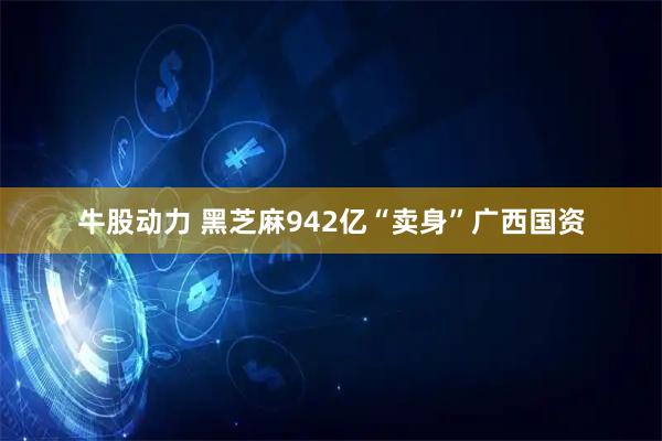 牛股动力 黑芝麻942亿“卖身”广西国资
